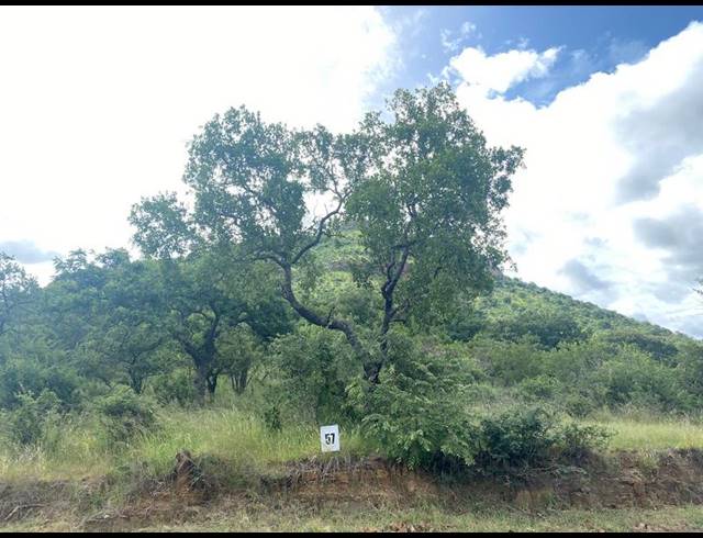 LAND FOR SALE IN LYDENBURG RURAL